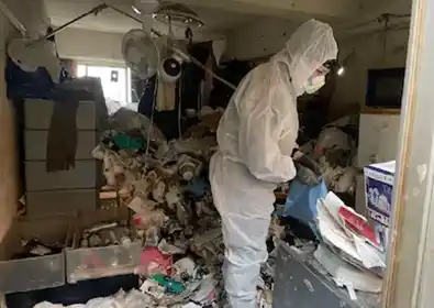 ゴミ屋敷片付け